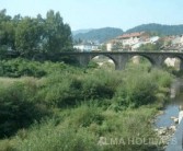   / ALMA HOLIDAYS -  -  -  