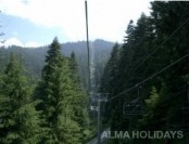   / ALMA HOLIDAYS -  -  -  