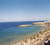   / ALMA HOLIDAYS -  -  -  
